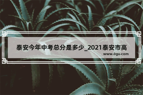 泰安今年中考总分是多少_2021泰安市高三期末考试时间