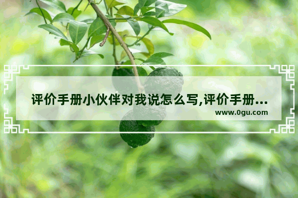 评价手册小伙伴对我说怎么写,评价手册英语听力答案