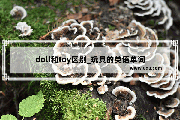 doll和toy区别_玩具的英语单词