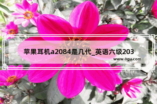 苹果耳机a2084是几代_英语六级2031翻译是谁