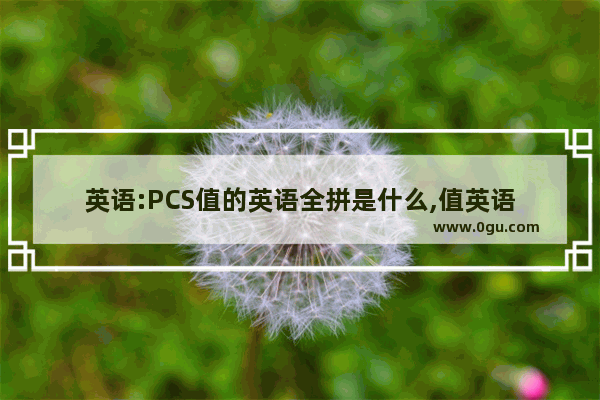 英语:PCS值的英语全拼是什么,值英语