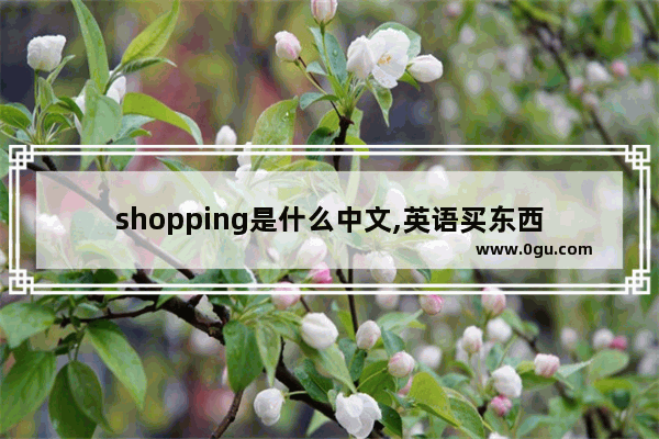 shopping是什么中文,英语买东西