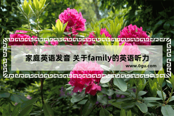 家庭英语发音 关于family的英语听力