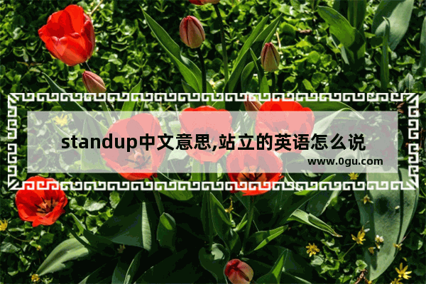 standup中文意思,站立的英语怎么说