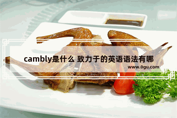 cambly是什么 致力于的英语语法有哪些