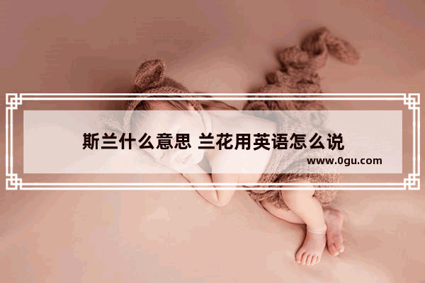 斯兰什么意思 兰花用英语怎么说