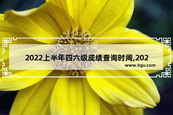 2022上半年四六级成绩查询时间,2022年英语六级成绩线