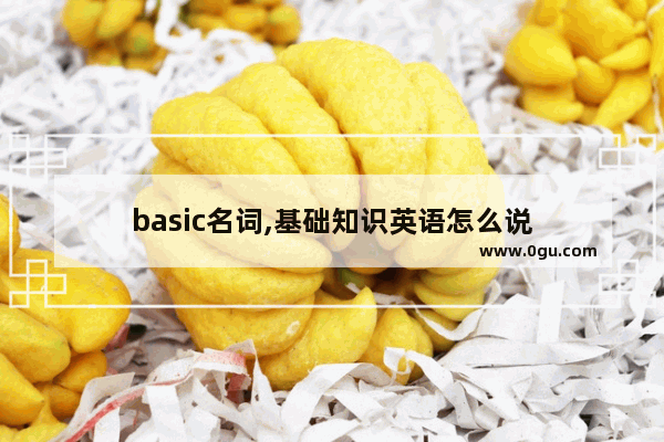 basic名词,基础知识英语怎么说