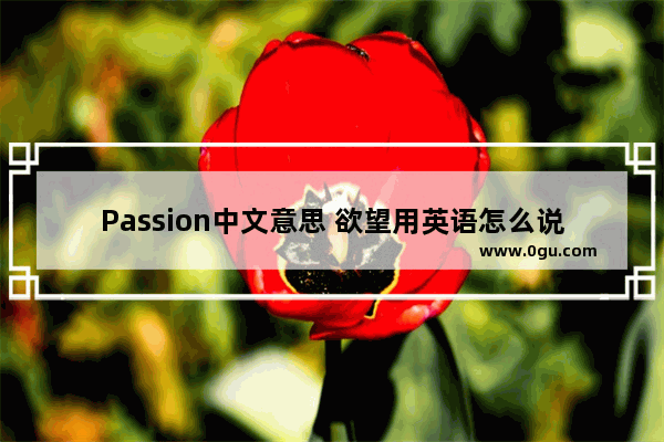 Passion中文意思 欲望用英语怎么说