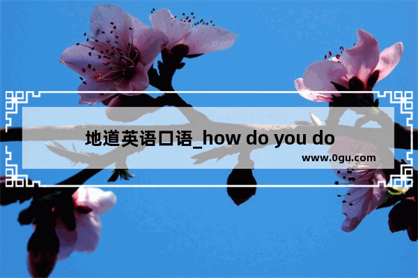 地道英语口语_how do you do地道英语口语