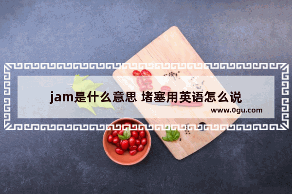 jam是什么意思 堵塞用英语怎么说