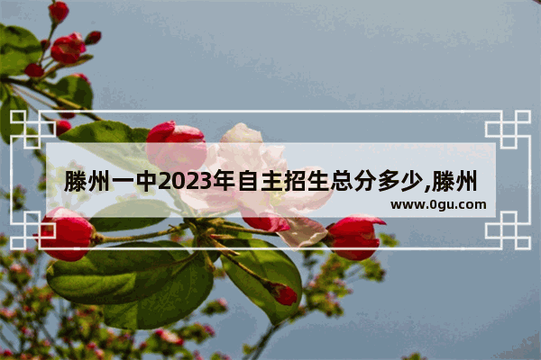 滕州一中2023年自主招生总分多少,滕州市小学英语考试试卷