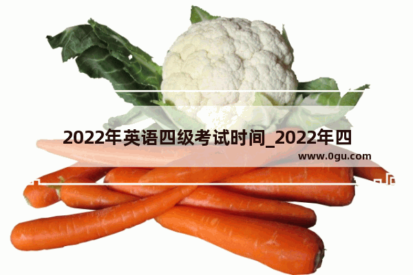 2022年英语四级考试时间_2022年四级考试时间是什么时候