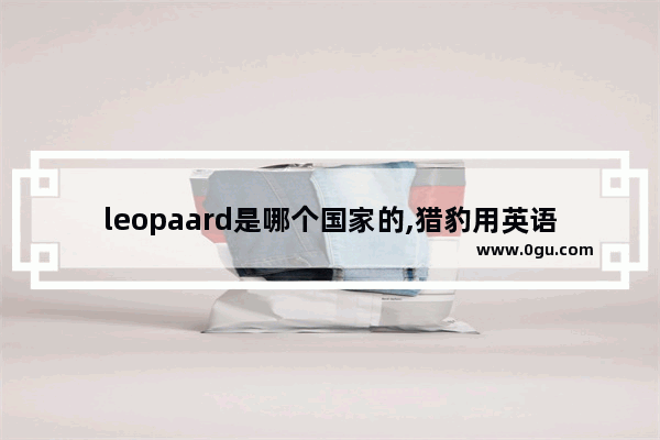 leopaard是哪个国家的,猎豹用英语怎么说