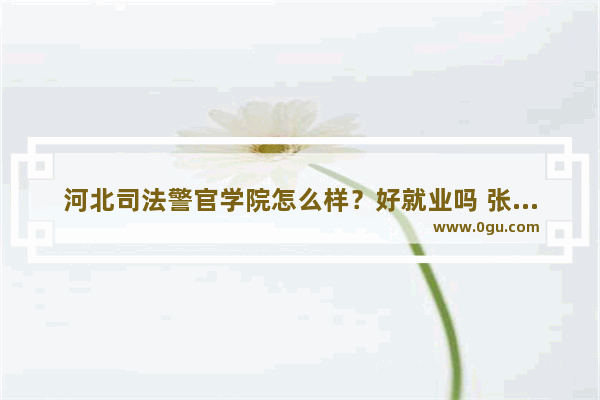 河北司法警官学院怎么样？好就业吗 张雪峰谈大学英语四级