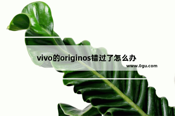 vivo的originos错过了怎么办 手机忘拿错过英语考试时间