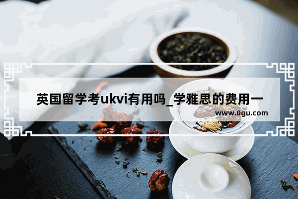 英国留学考ukvi有用吗_学雅思的费用一般为多少呢