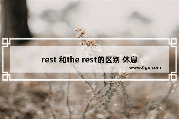 rest 和the rest的区别 休息一下用英语怎么说