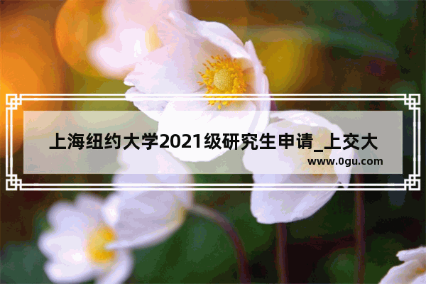 上海纽约大学2021级研究生申请_上交大硕博连读政策介绍