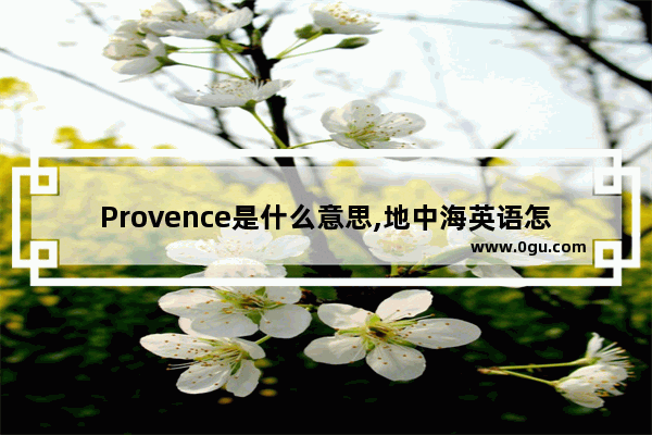 Provence是什么意思,地中海英语怎么说