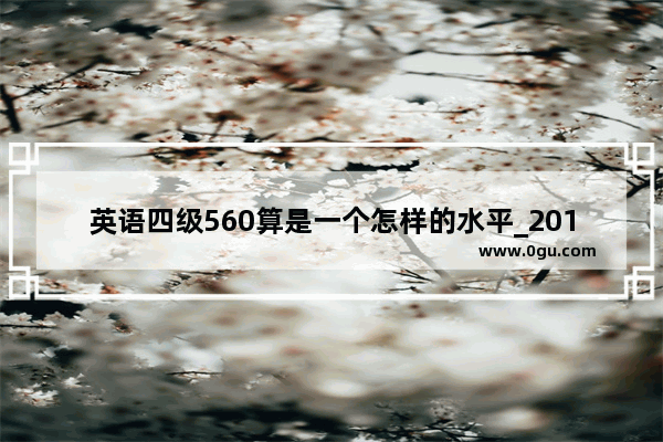 英语四级560算是一个怎样的水平_2015英语六级.562分什么水平