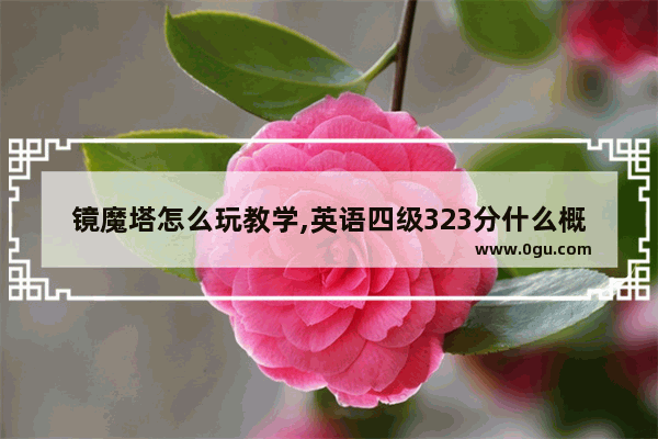 镜魔塔怎么玩教学,英语四级323分什么概念