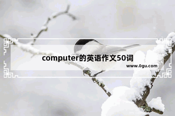 computer的英语作文50词