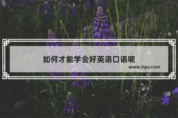 如何才能学会好英语口语呢