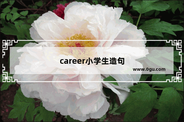 career小学生造句