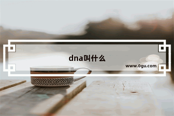 dna叫什么