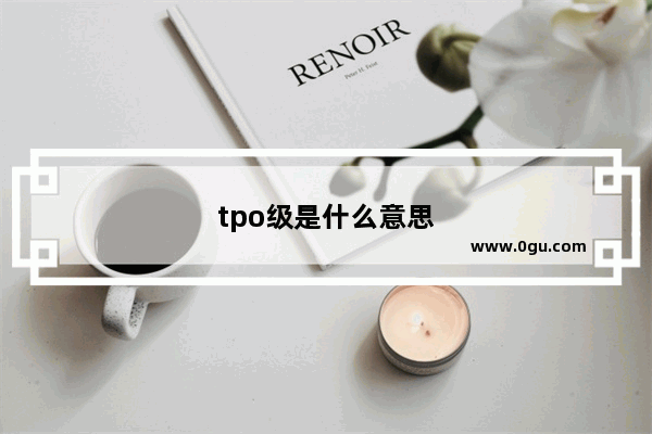 tpo级是什么意思