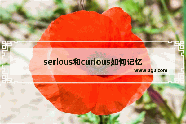 serious和curious如何记忆