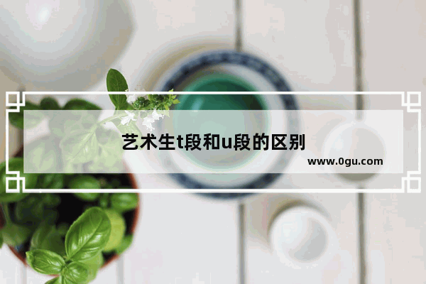 艺术生t段和u段的区别