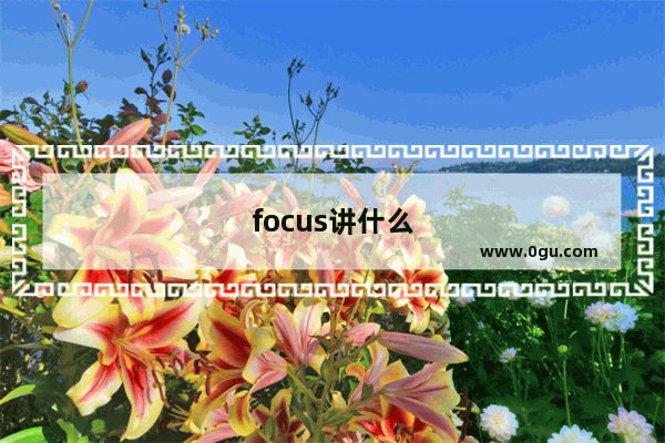 focus讲什么