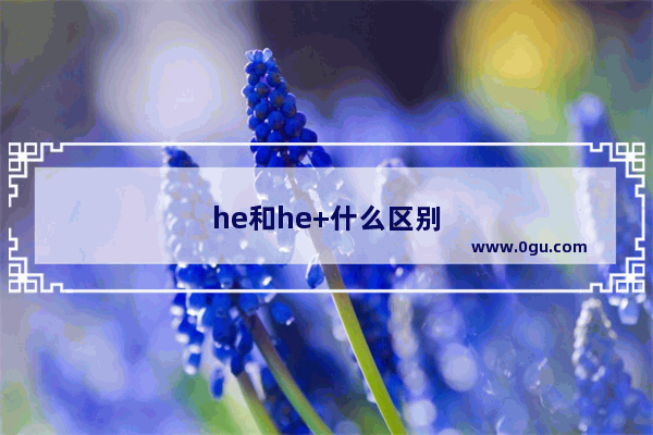 he和he+什么区别