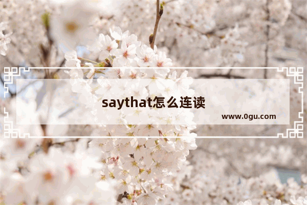 saythat怎么连读