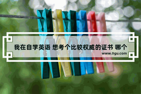 我在自学英语 想考个比较权威的证书 哪个比较实用呢