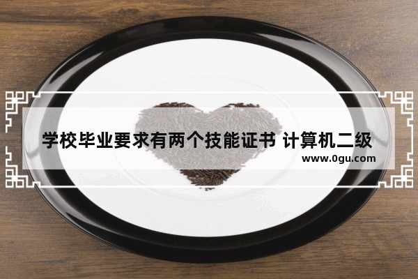 学校毕业要求有两个技能证书 计算机二级 四六级 到底算不算技能证