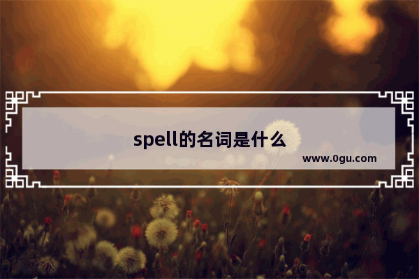 spell的名词是什么