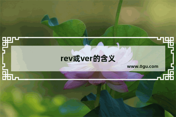 rev或ver的含义