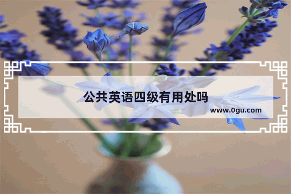 公共英语四级有用处吗