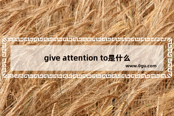 give attention to是什么意思