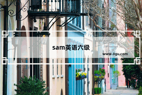 sam英语六级