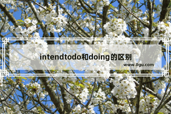 intendtodo和doing的区别