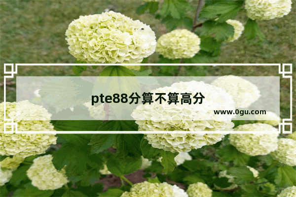 pte88分算不算高分