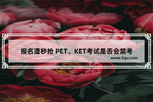 报名遭秒抢 PET、KET考试是否会禁考