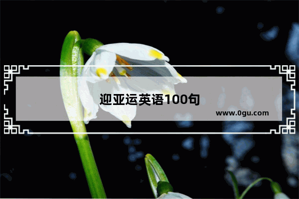 迎亚运英语100句