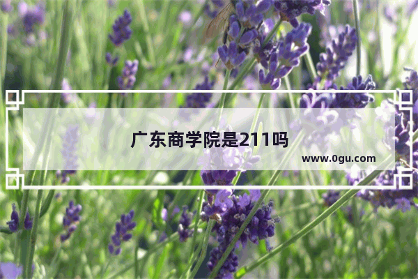 广东商学院是211吗