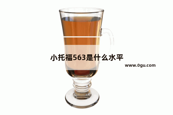 小托福563是什么水平