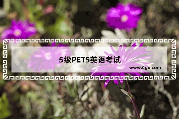 5级PETS英语考试怎么自学